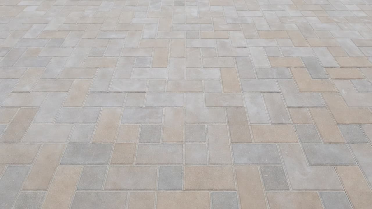 A close-up view of gray concrete bricks shows a milky white hazy film covering the textured surface. The modern illustration features earthy tones and simple, clean blocky geometric shapes throughout.