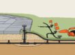 Gray pavers surround a lawn-level sprinkler with irrigation tubing visible below.
